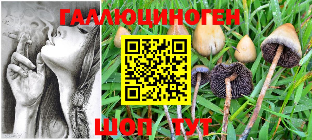 Галлюциногенные грибы ЛСД Астрахань